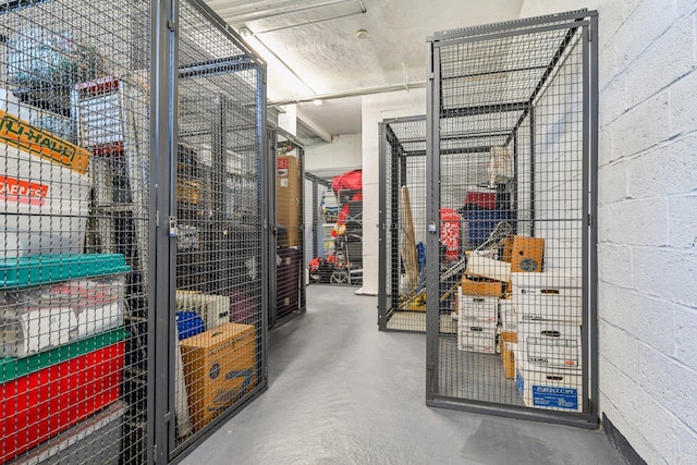 200 N Village Ave Unit D10, Rockville Centre, NY 11570 - view of storage area