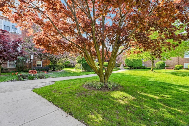 200 N Village Ave Unit D10, Rockville Centre, NY 11570 - view of yard