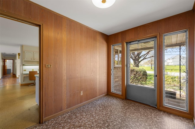 entryway featuring baseboards, wood walls, and a wealth of natural light