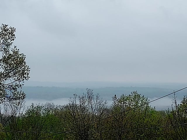 view of water feature