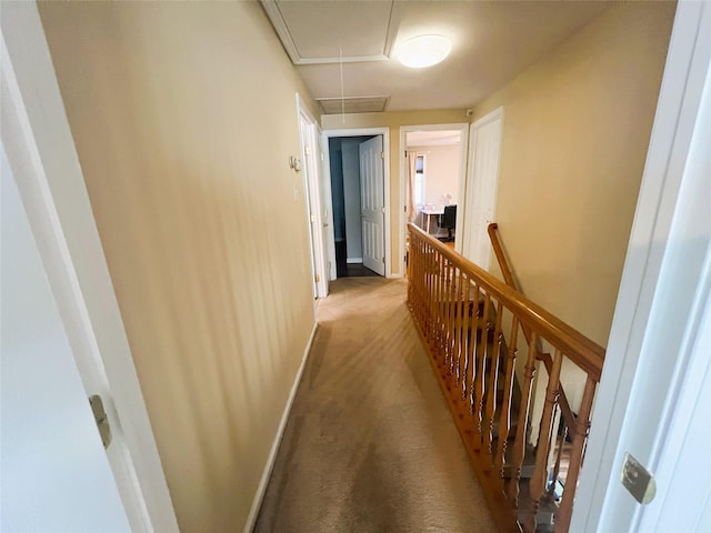 19 Millbrook Dr, Stony Brook, NY 11790 - hall with baseboards, attic access, carpet, and an upstairs landing