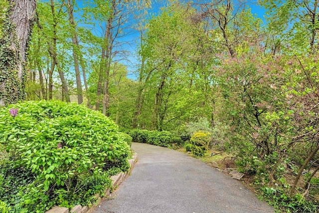 19 Rockledge Rd Unit 1A, Hartsdale, NY 10530 - view of home's community