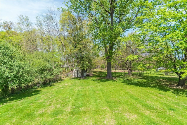 130 E Main St, Washingtonville, NY 10992 - view of yard with a storage shed and an outdoor structure