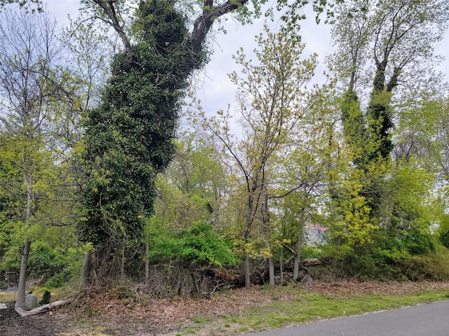 675 Pine Tree Rd, Cutchogue, NY 11935 - photo 1
