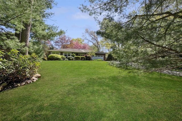 view of yard featuring a garage