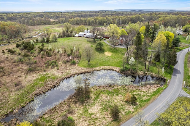 353 Berea Rd, Walden, NY 12586 - drone / aerial view with a forest view and a water view