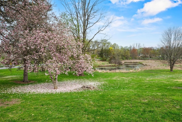 353 Berea Rd, Walden, NY 12586 - view of yard