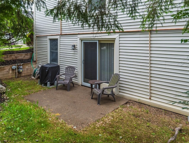 207 Cornwall Meadows Ln, Patterson, NY 12563 - view of patio / terrace with a grill