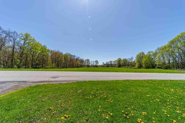 148 Chandler Ln, Montgomery, NY 12549 - view of street