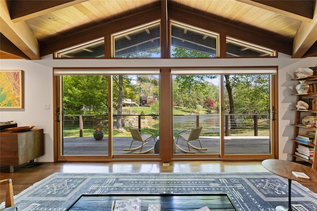 doorway to outside featuring wooden ceiling, plenty of natural light, and wood finished floors