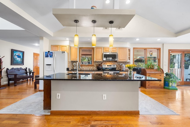 kitchen with a sink, an island with sink, stainless steel appliances, light wood-type flooring, and vaulted ceiling