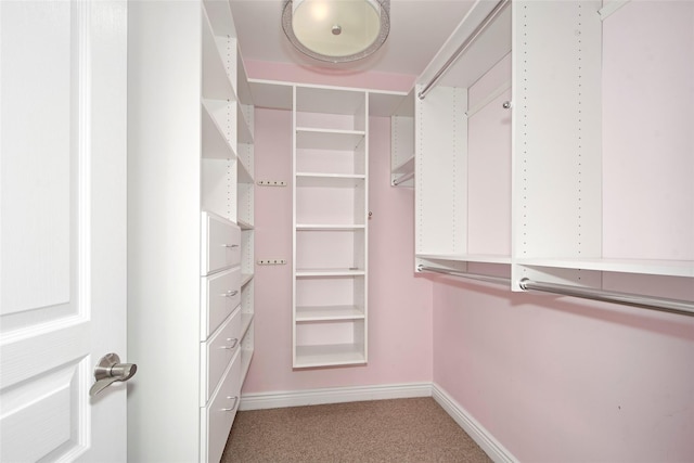 walk in closet featuring light colored carpet