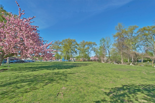 view of community featuring a yard