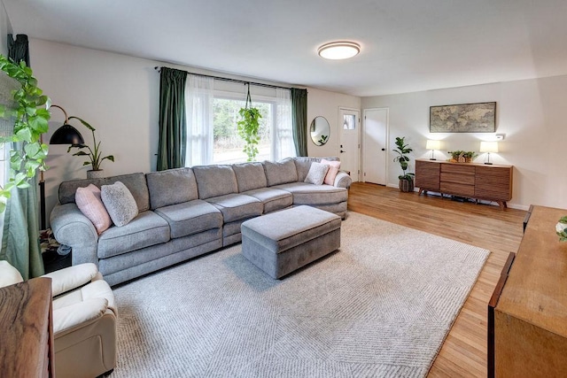 living room featuring wood finished floors