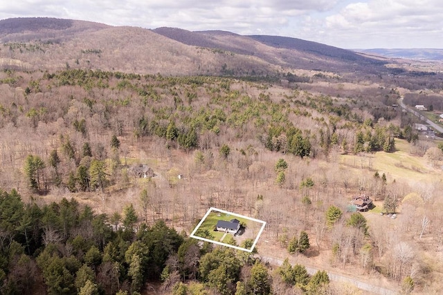 mountain view with a wooded view