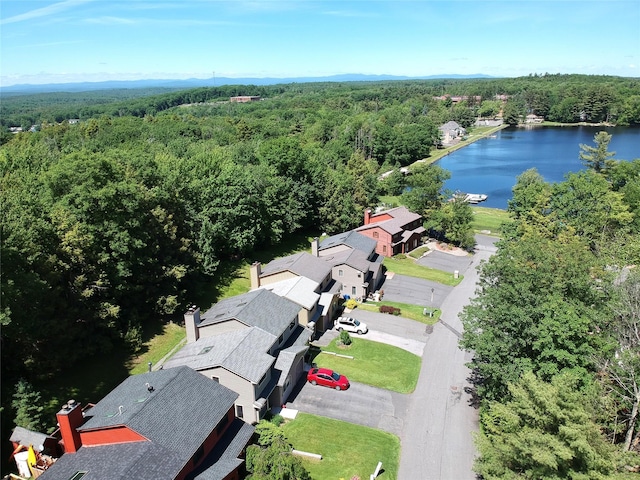 11 Lakeview Ct, Rock Hill, NY 12775 - drone / aerial view with a water view and a view of trees