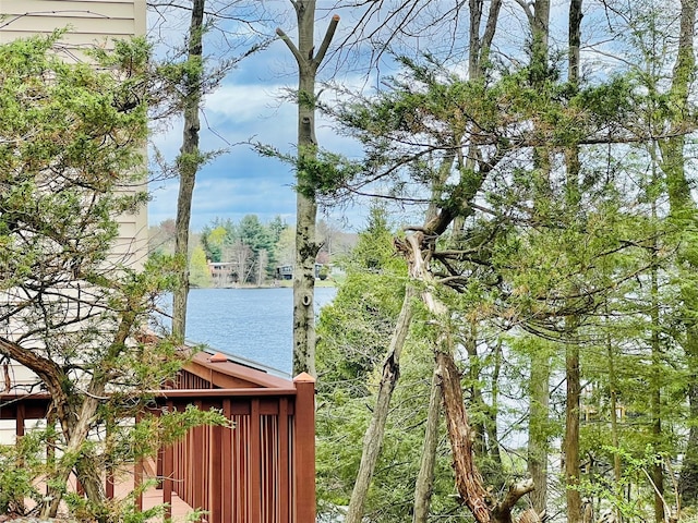 11 Lakeview Ct, Rock Hill, NY 12775 - view of water feature
