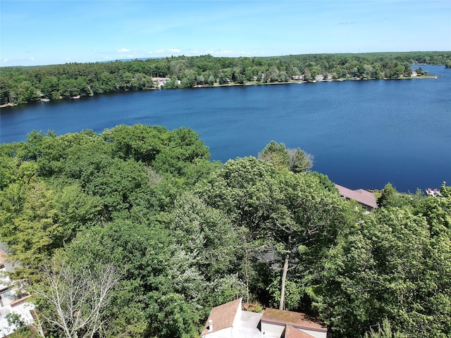 11 Lakeview Ct, Rock Hill, NY 12775 - aerial view featuring a water view and a view of trees