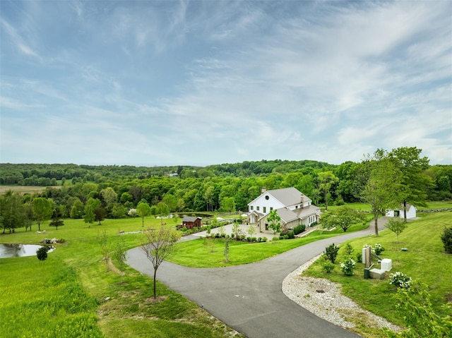 3585 Rte 82, Millbrook, NY 12545 - view of property's community with curved driveway, a water view, a forest view, and a yard