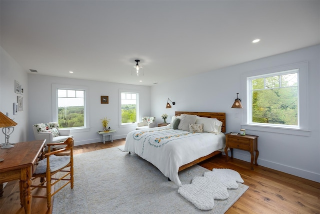 3585 Rte 82, Millbrook, NY 12545 - bedroom featuring wood finished floors, recessed lighting, and baseboards