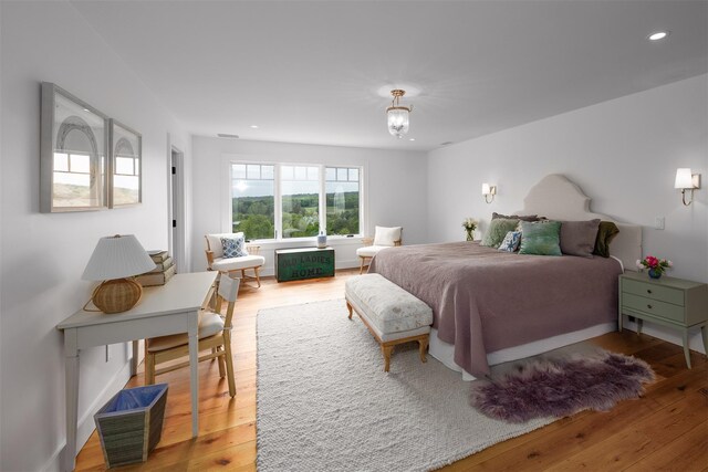 3585 Rte 82, Millbrook, NY 12545 - bedroom with light wood-style flooring and recessed lighting