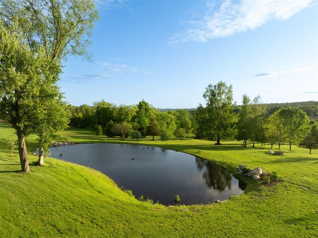 3585 Rte 82, Millbrook, NY 12545 - water view