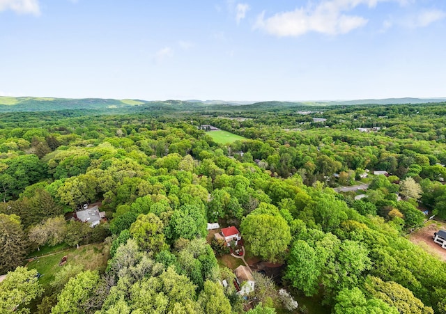 drone / aerial view of a heavily wooded area