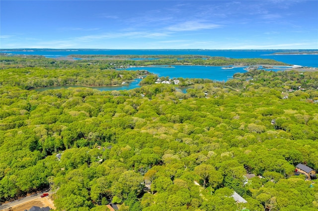 drone / aerial view of a forest and a nearby body of water