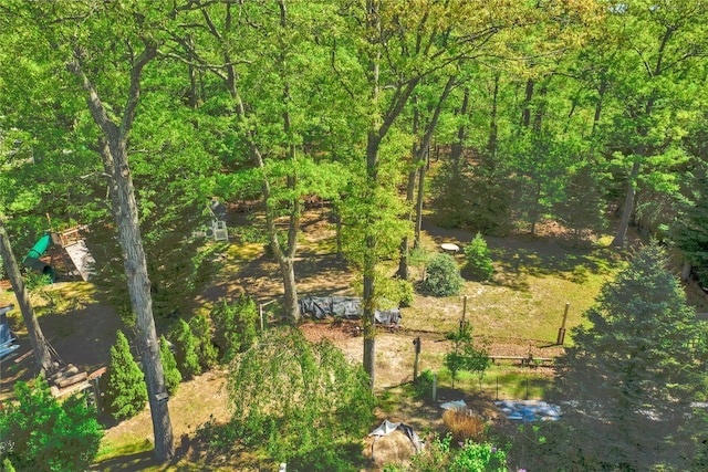 view of undeveloped land