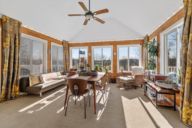 58 Big Island Rd, Warwick, NY 10990 - sunroom / solarium with vaulted ceiling and carpet flooring