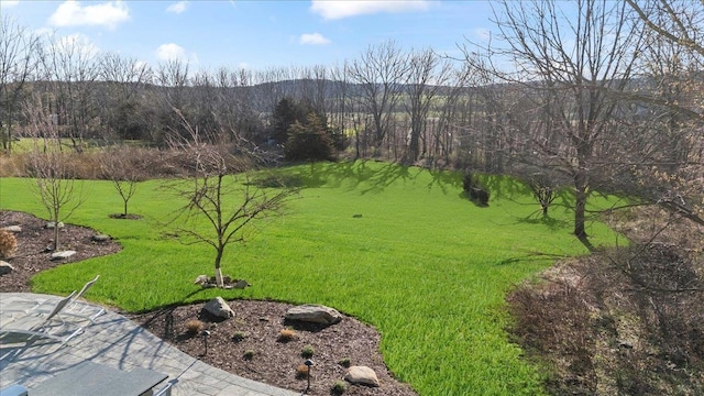 58 Big Island Rd, Warwick, NY 10990 - view of grassy yard featuring a mountain view