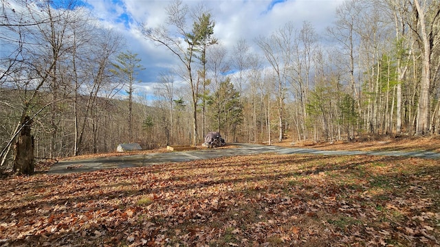 7297 State Route 97, Narrowsburg, NY 12764 - photo 1