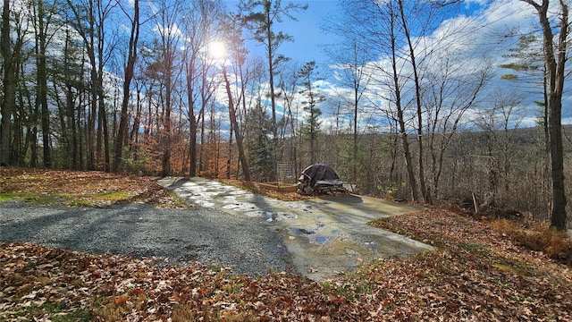 7297 State Route 97, Narrowsburg, NY 12764 - photo 2