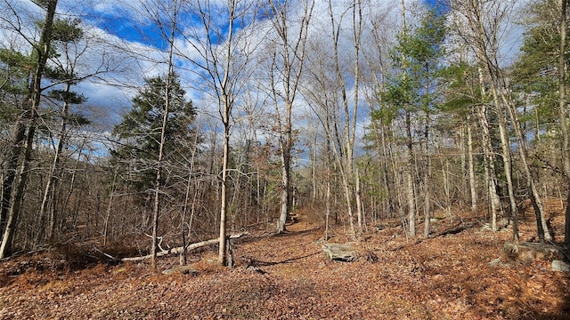 7297 State Route 97, Narrowsburg, NY 12764 - photo 3