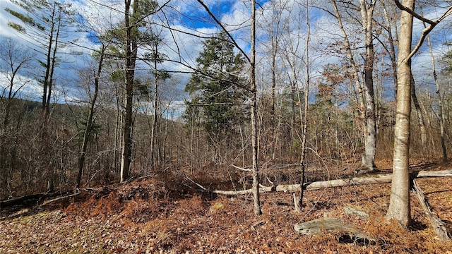 7297 State Route 97, Narrowsburg, NY 12764 - photo 5