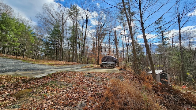 7297 State Route 97, Narrowsburg, NY 12764 - photo 6
