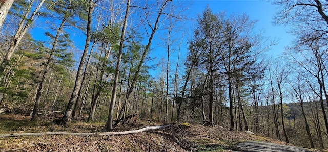 7297 State Route 97, Narrowsburg, NY 12764 - photo 8