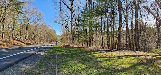 7297 State Route 97, Narrowsburg, NY 12764 - photo 10