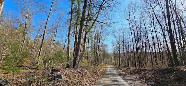 7297 State Route 97, Narrowsburg, NY 12764 - photo 11