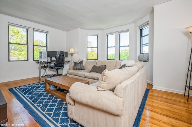 living room with baseboards, wood finished floors, and a wealth of natural light