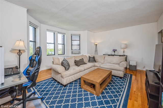 living room featuring wood finished floors
