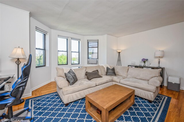 living area featuring baseboards and wood finished floors