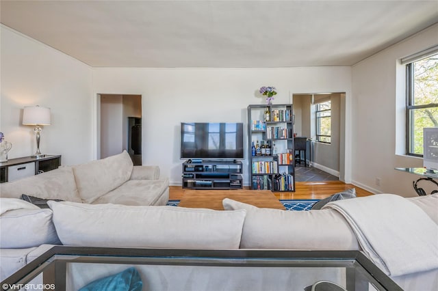 living area featuring baseboards and wood finished floors