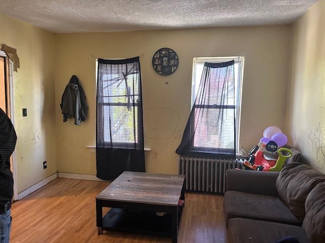 29 Cottage St, Poughkeepsie, NY 12601 - living area featuring light wood-type flooring, a textured ceiling, radiator, and a wealth of natural light