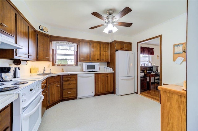 kitchen featuring ceiling fan, a sink, white appliances, light countertops, and under cabinet range hood