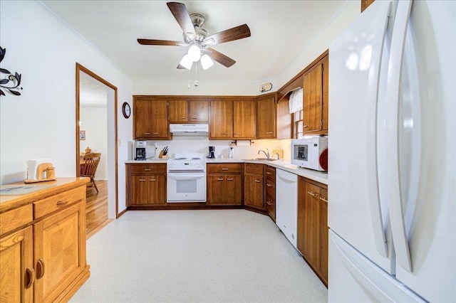 kitchen featuring brown cabinetry, white appliances, light countertops, under cabinet range hood, and a sink