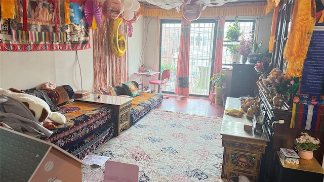 living room with hardwood / wood-style floors