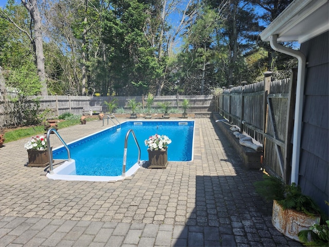 view of swimming pool featuring a fenced in pool, a fenced backyard, and a patio area