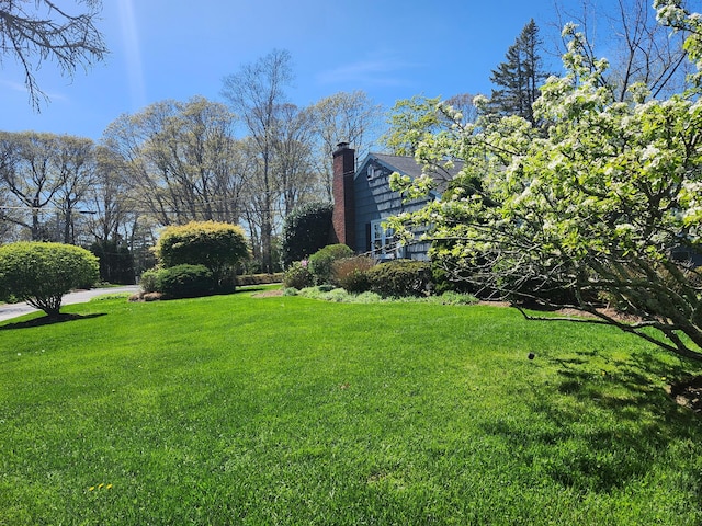 2575 Oaklawn Ave, Southold, NY 11971 - view of green lawn