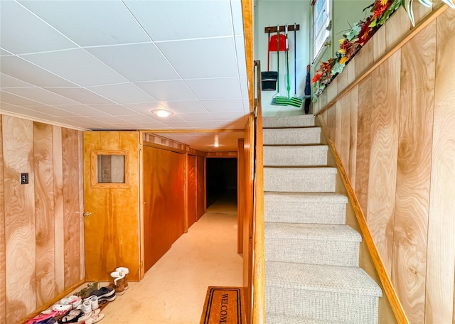 8019 266th St, Floral Park, NY 11004 - photo 29